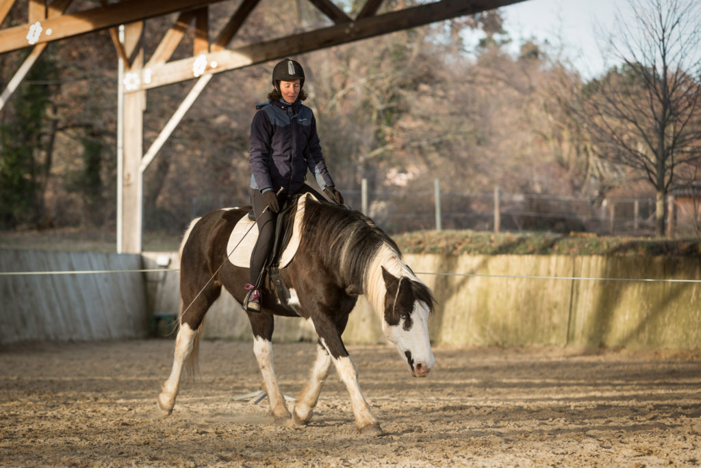 Gina Pitti - Enseignante d'équitation - Avis à tous ceux et celles