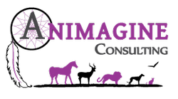 animagine-consulting-logo