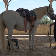 Gina Pitti Equi-Attah yoga à cheval respiration et décontraction