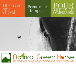 natural-green-horse-logo