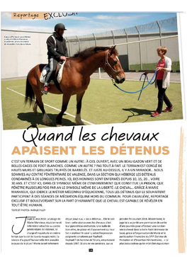 « Quand les chevaux apaisent les détenus » – Magazine Cavalière N°70