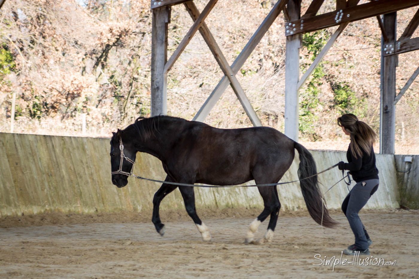 Gina Pitti - Enseignante d'équitation - Avis à tous ceux et celles